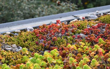 the cost of Wistaston green roof installation
